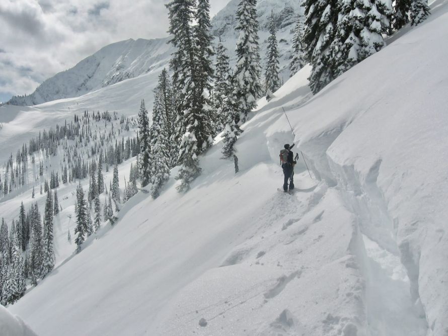 Measuring the avalanche crown where the snow slab breaks away form the snowpack above.