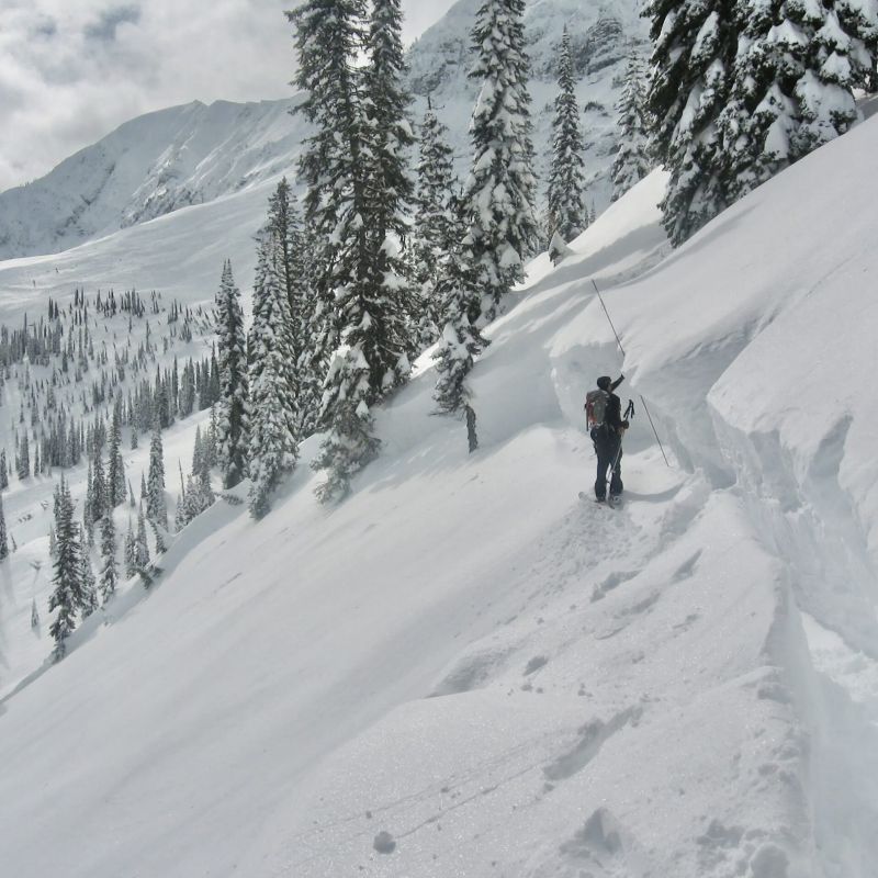 Measuring the avalanche crown where the snow slab breaks away form the snowpack above.