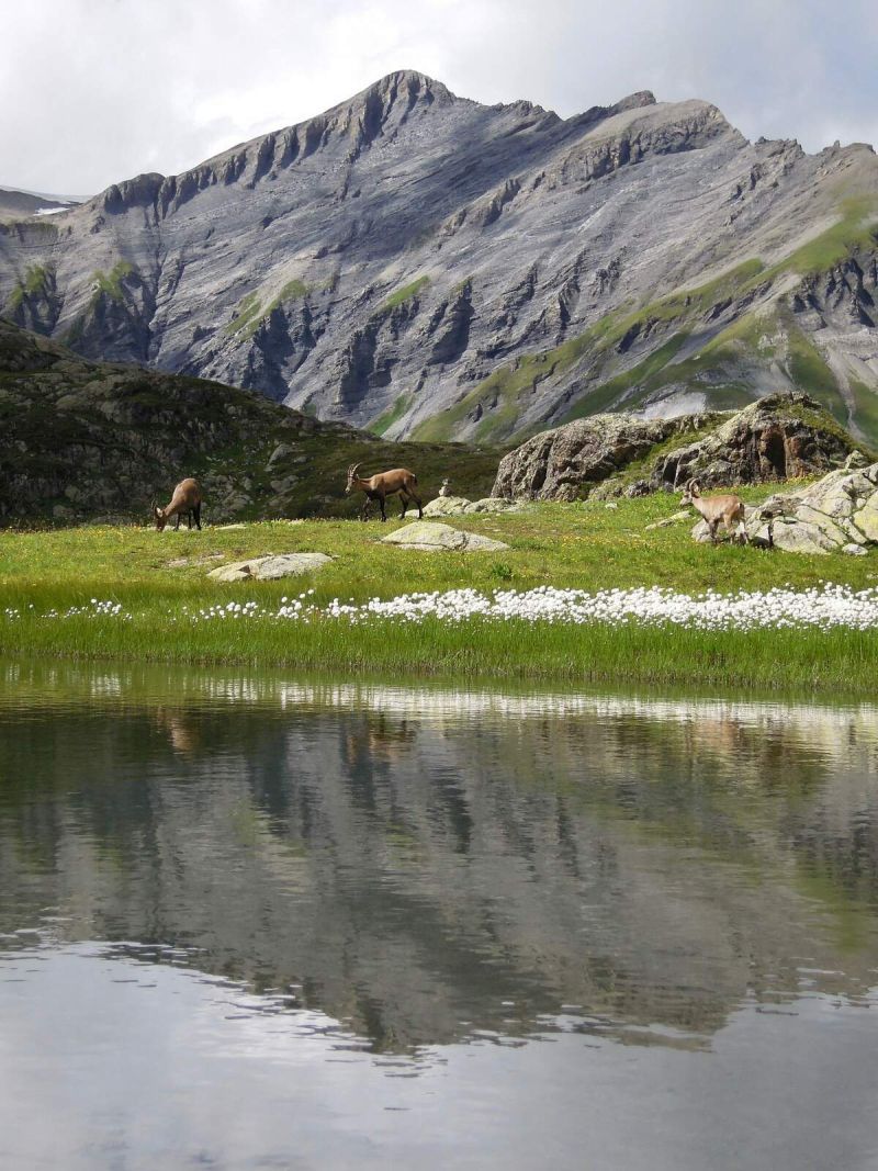 Tour du Mont Blanc