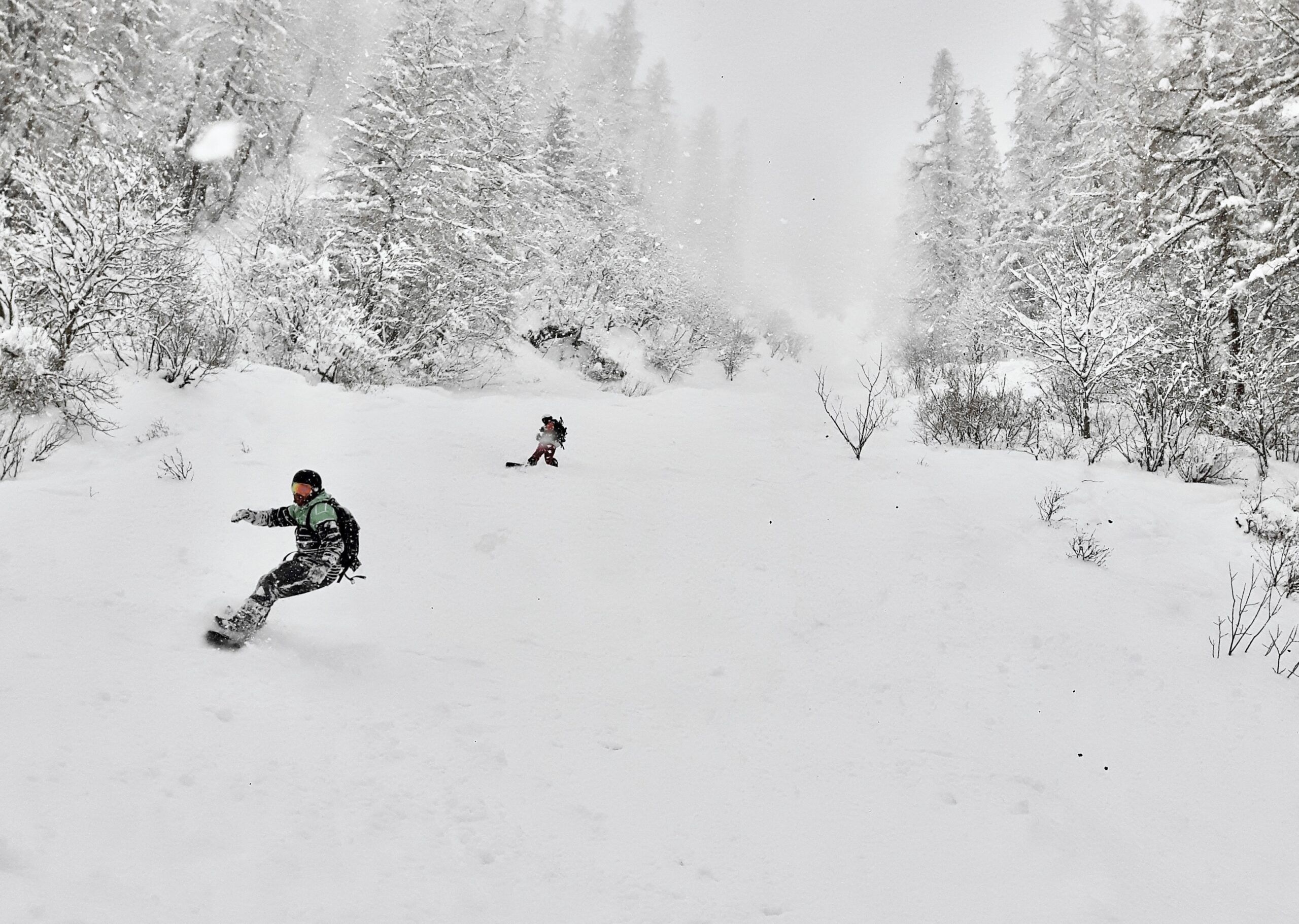 Chamex Freeride course at Le Tour